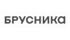 Логотип компании Брусника